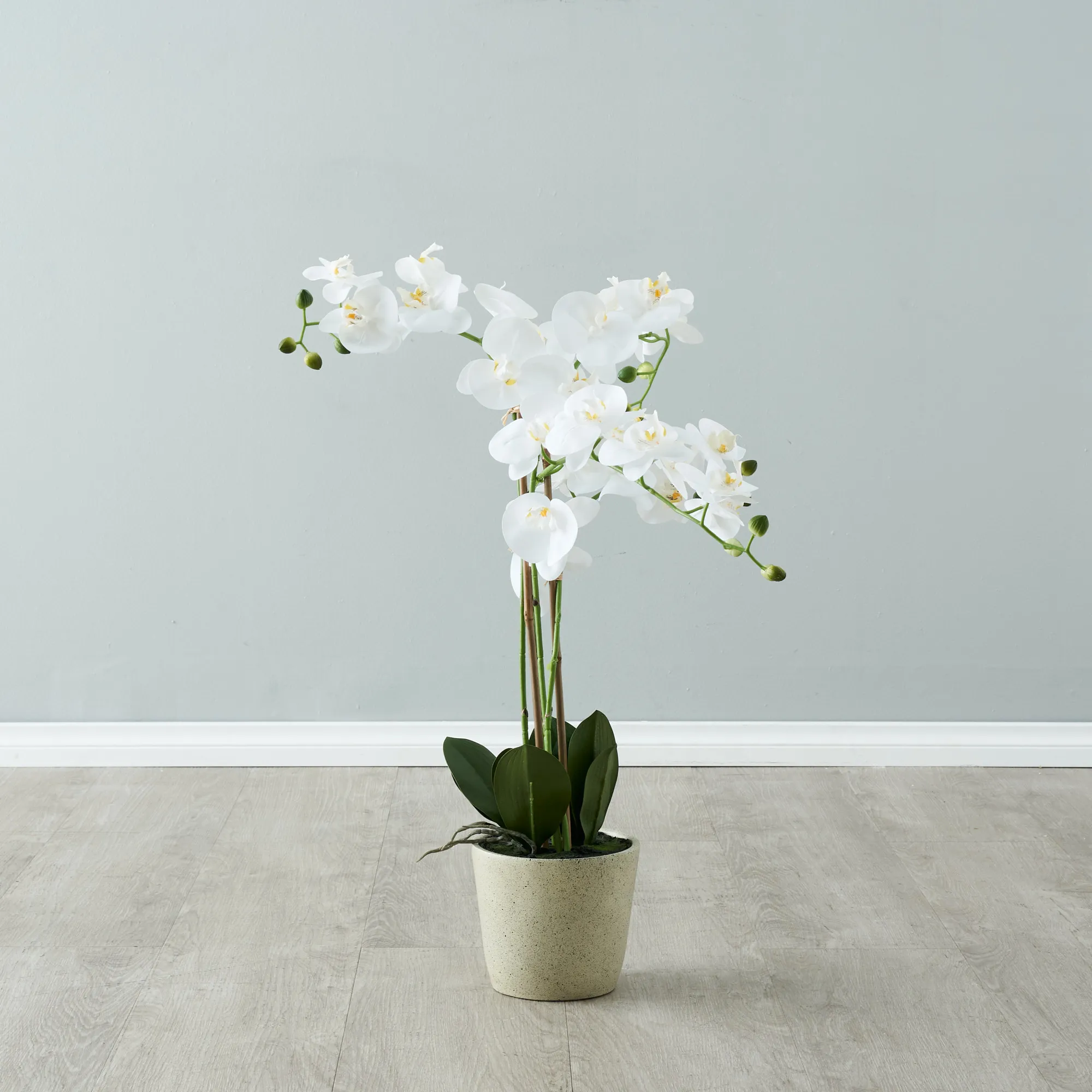 Phalaenopsis Decorative Plant 73cm - With Planter