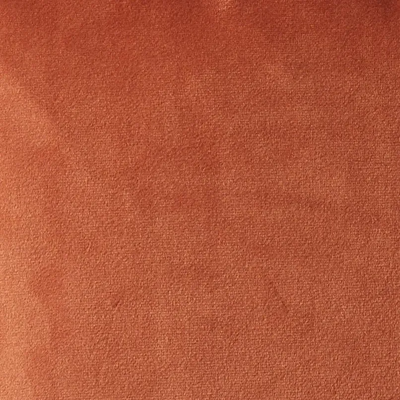 Remi Rust Velvet Cushion