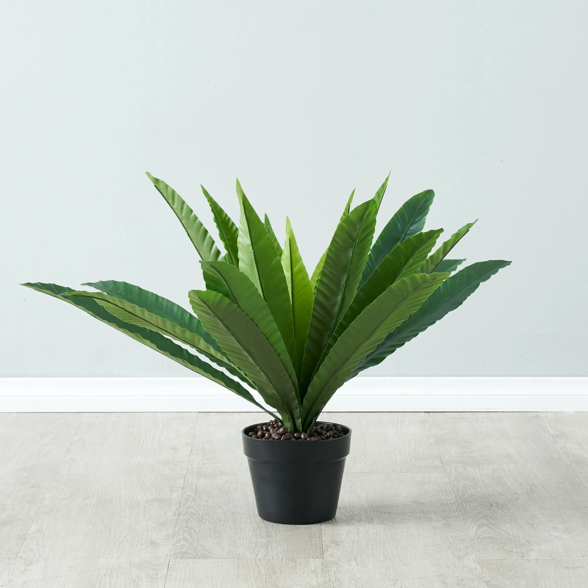 Birds Nest Fern Decorative Plant 55cm