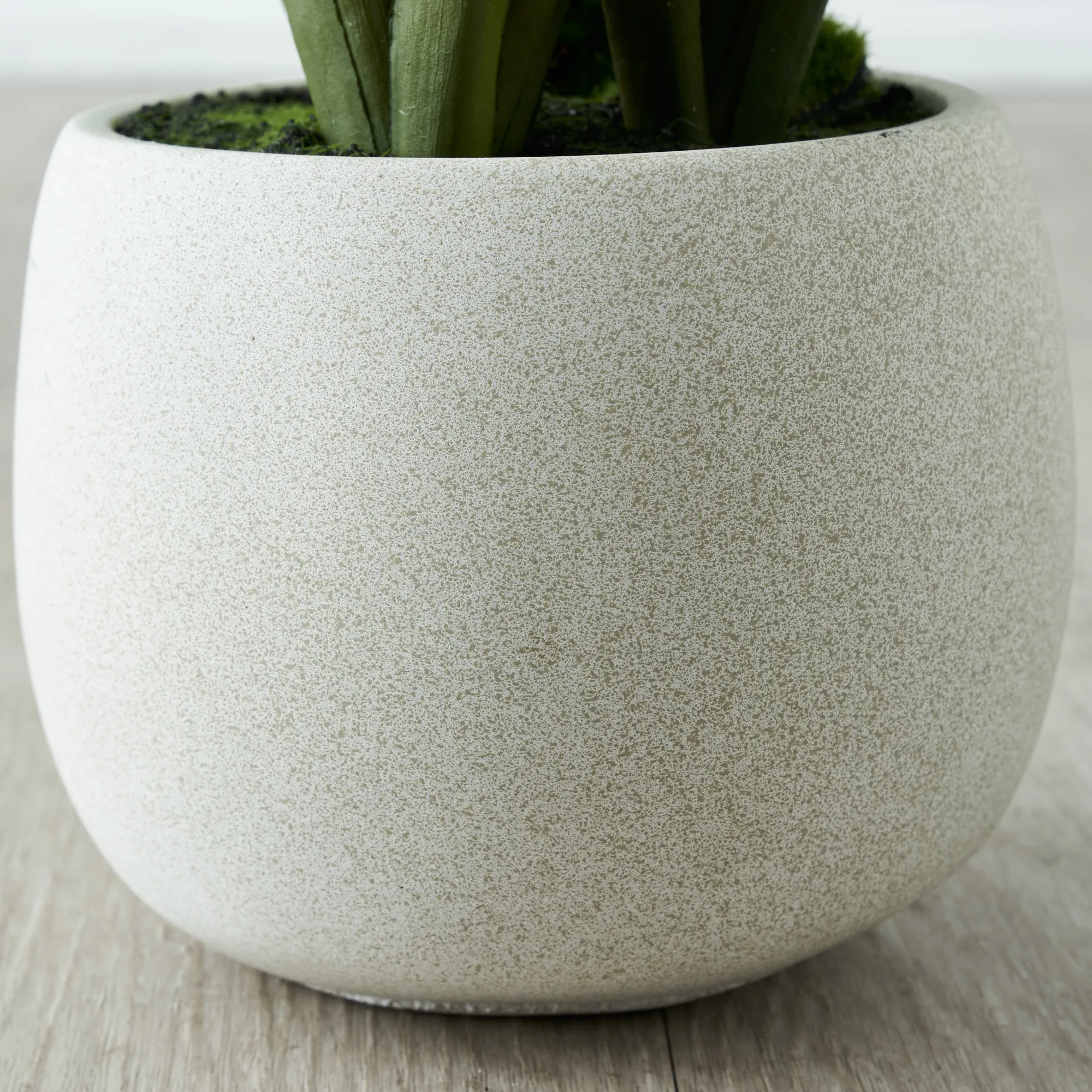 Phalaenopsis Decorative 64cm - With Planter 