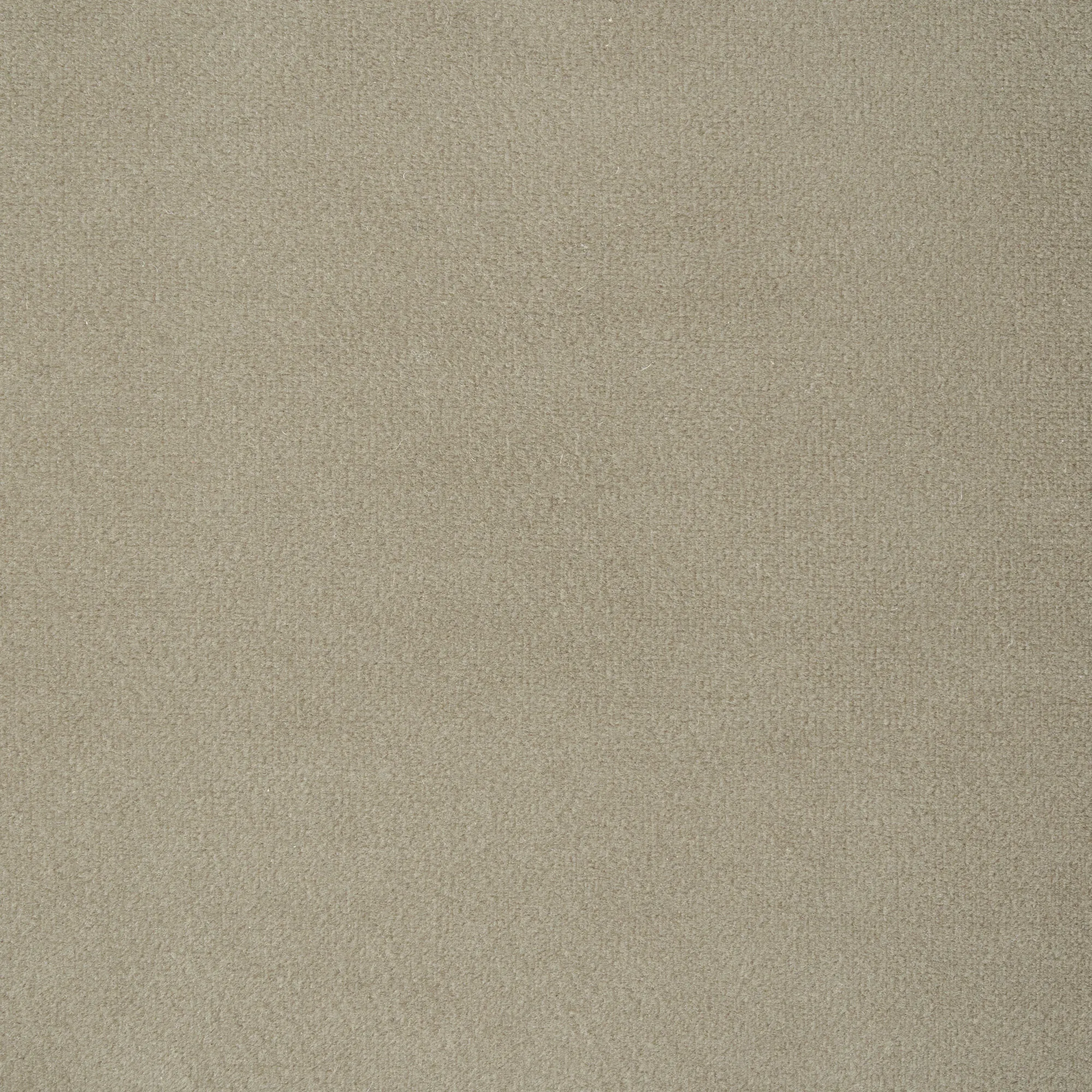 Tarrington Beige Velvet Occasional Chair