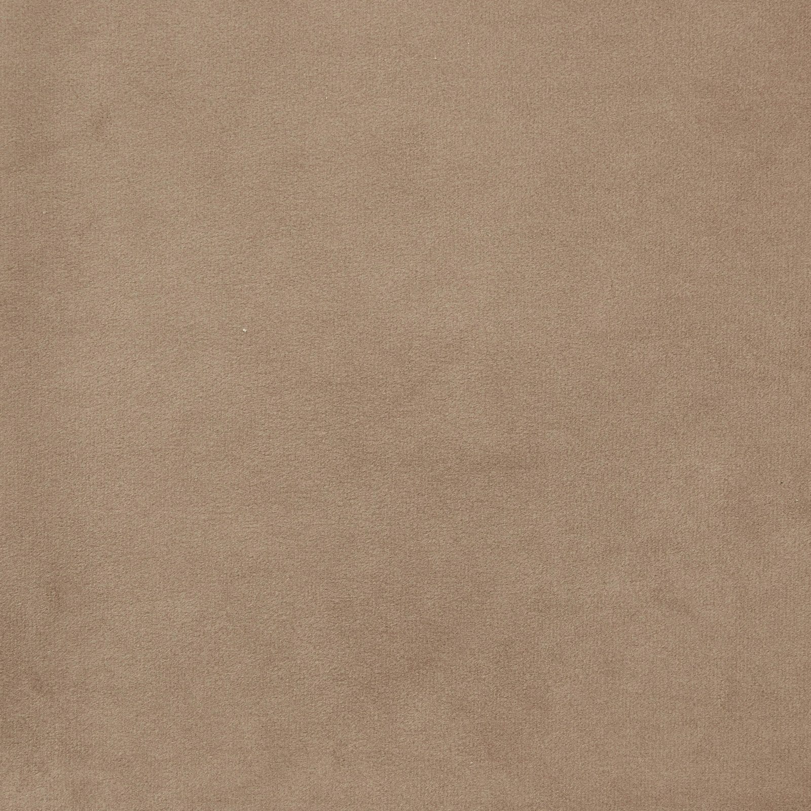 Crown Beige Velvet Occasional Chair