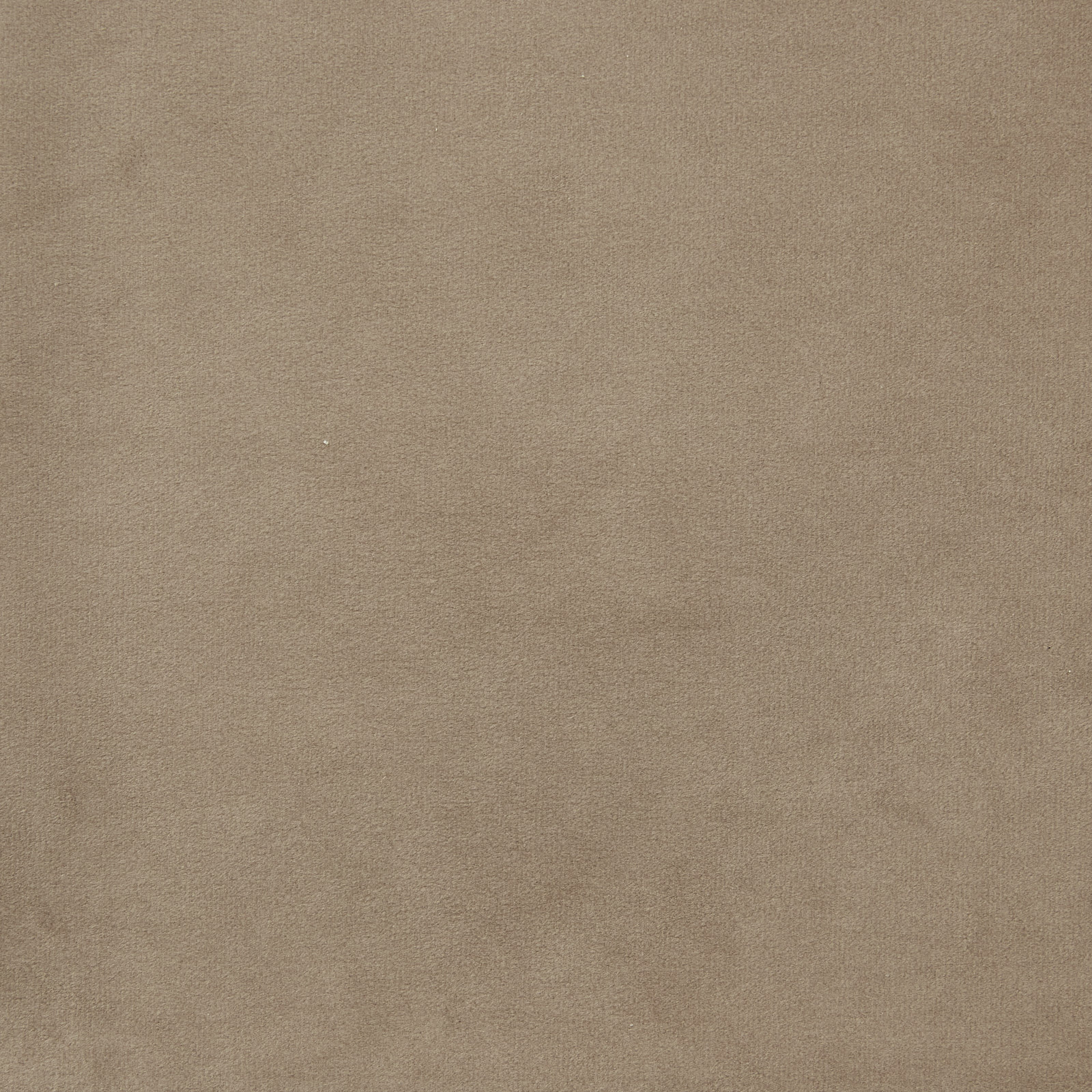 Burton Beige Velvet Occasional Chair - Brushed Champagne Gold Stainless Steel Legs