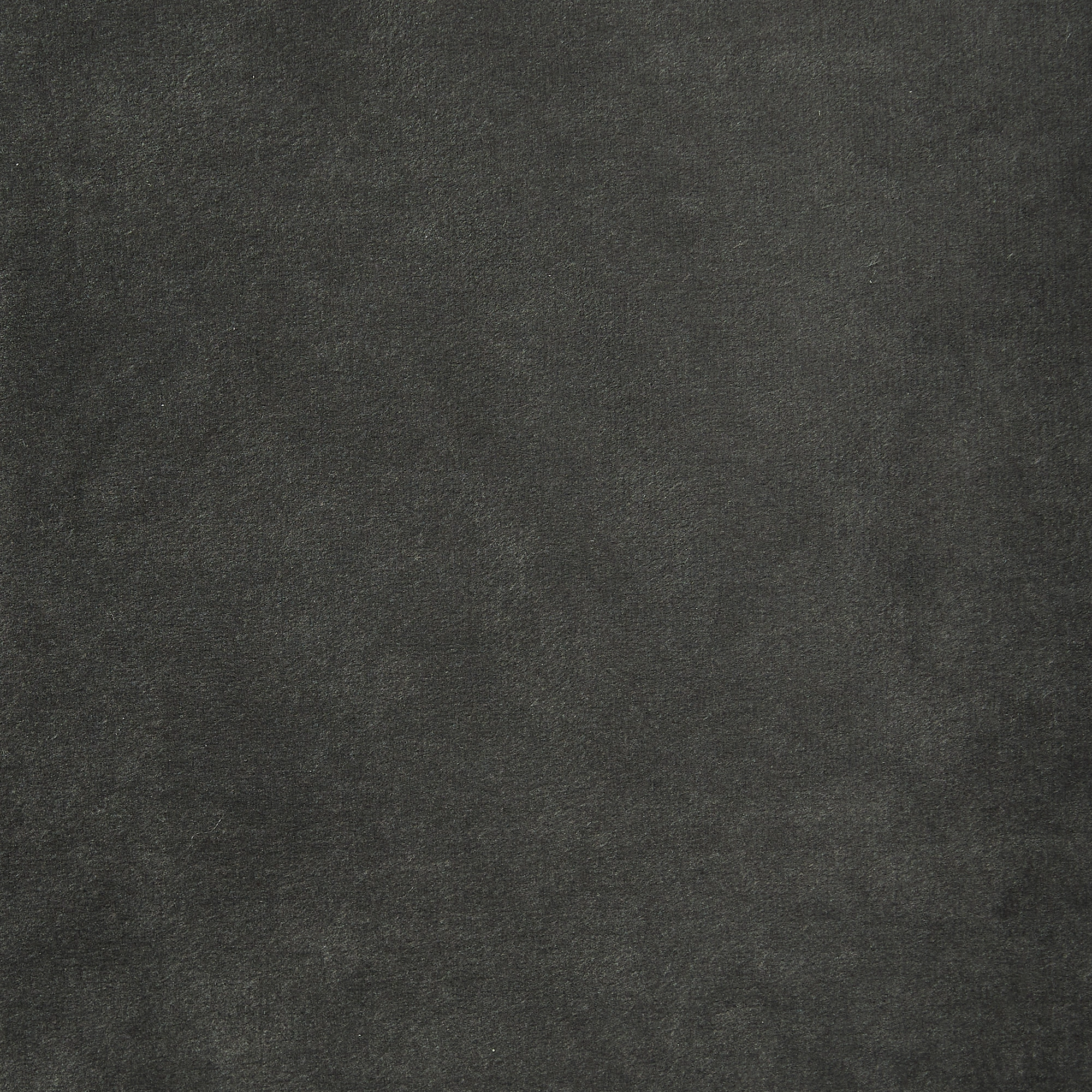 Burton Charcoal Velvet Occasional Chair - Brushed Black Nickel Stainless Steel Legs