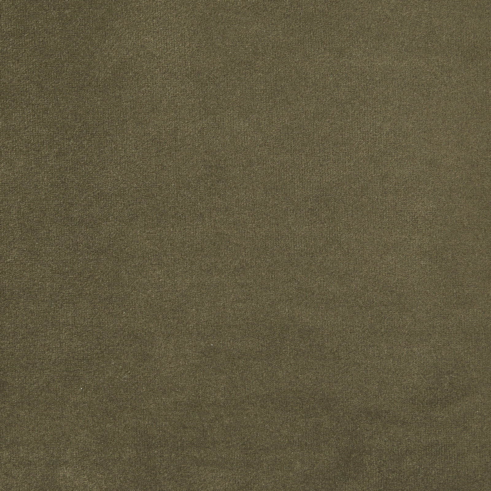 Burton Olive Green Velvet Occasional Chair - Brushed Champagne Gold Stainless Steel Legs