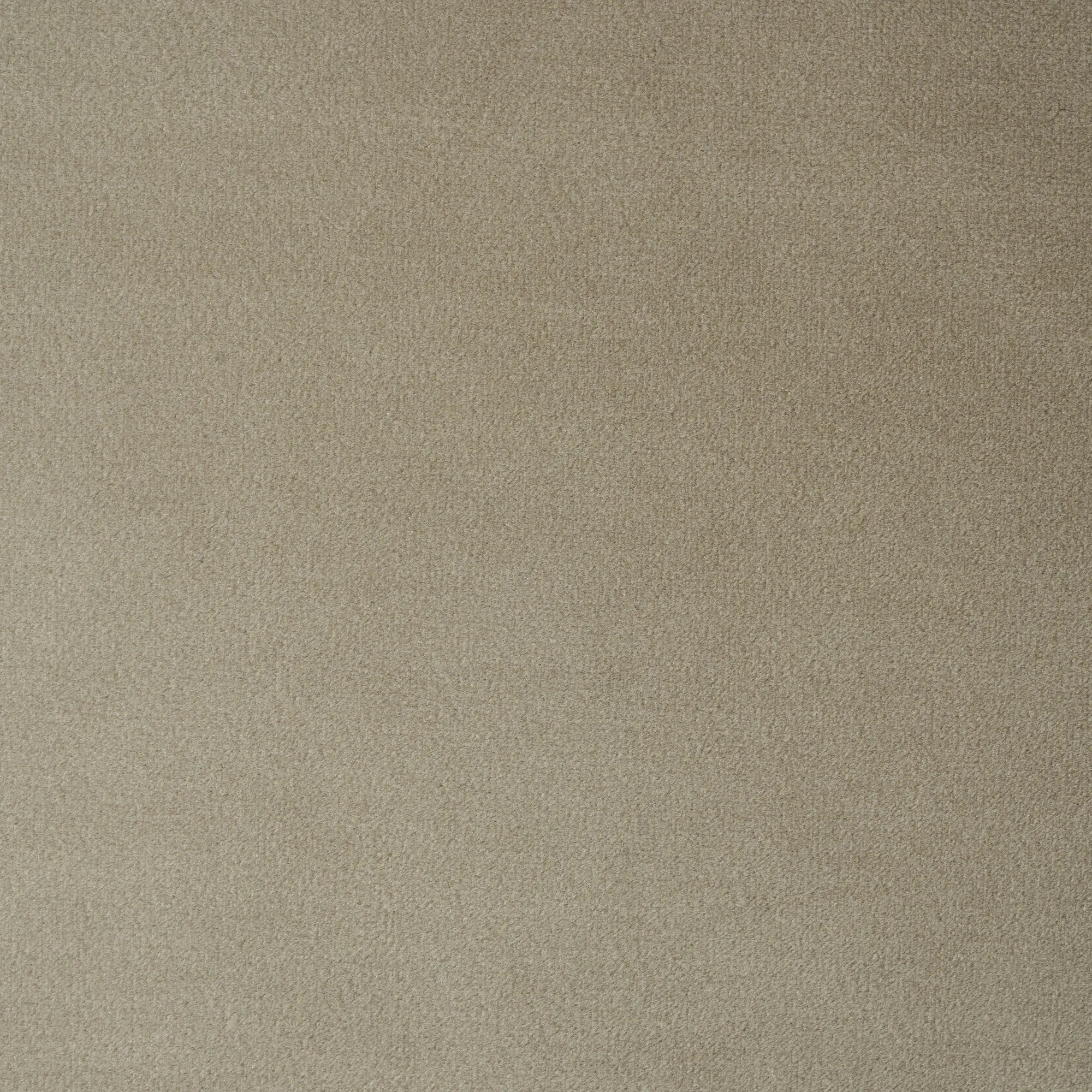 Sonja Beige Velvet Occasional Chair - Brushed Champagne Gold Stainless Steel Legs