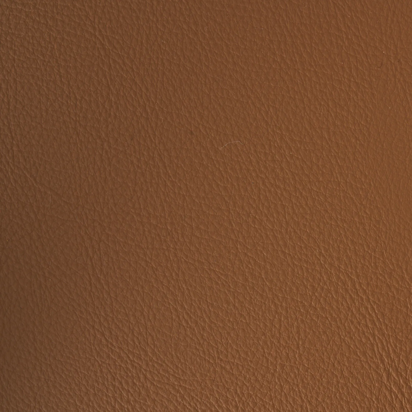 Moulin Walnut Vegan Leather Dining Chair - Brushed Gold Legs