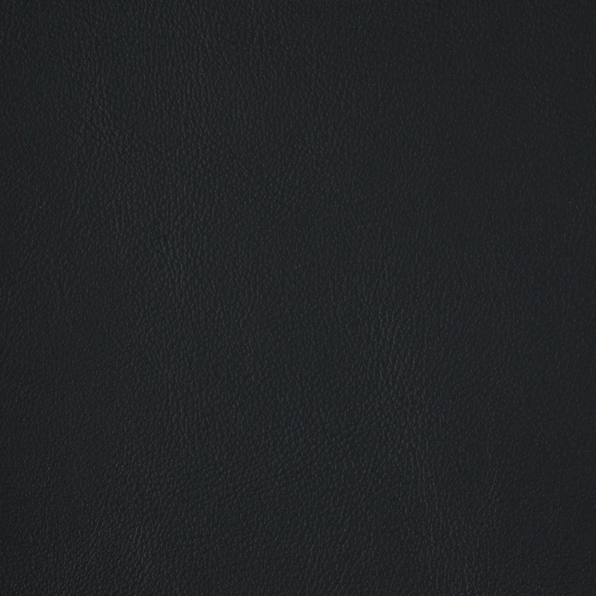 Hailey Black Vegan Leather Dining Chair - Black Legs