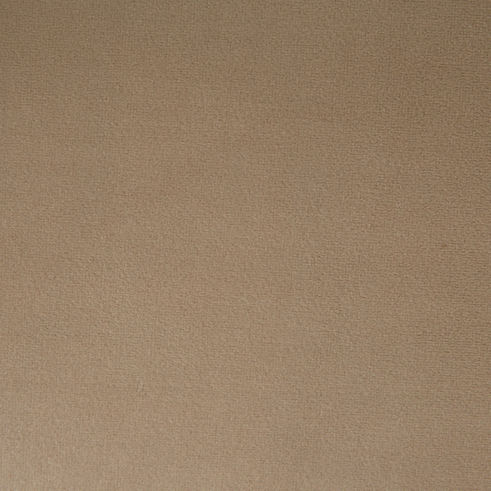 Daniella Beige Velvet Occasional Chair