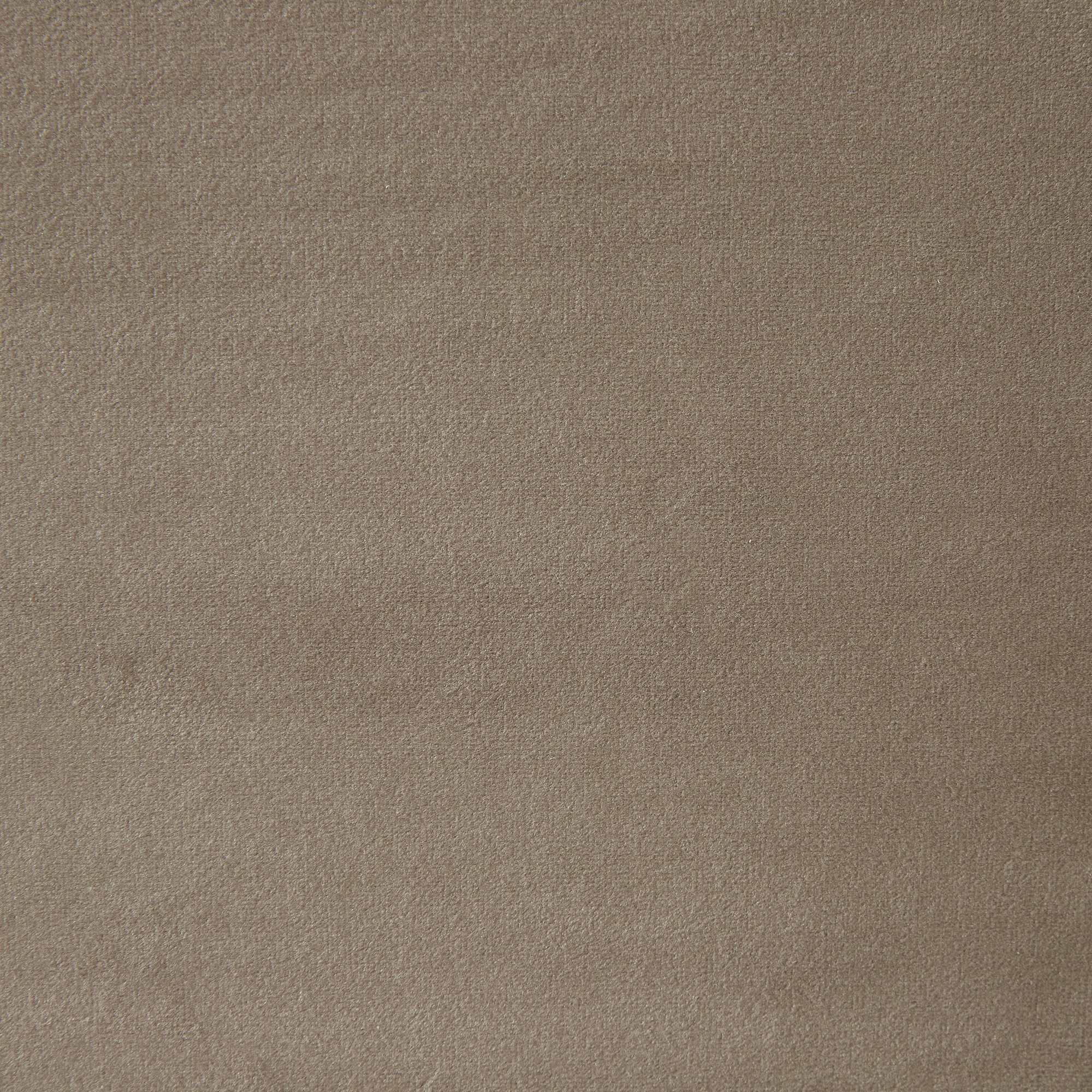 Jacques Beige Velvet Queen Bed - Brushed Champagne Gold Frame