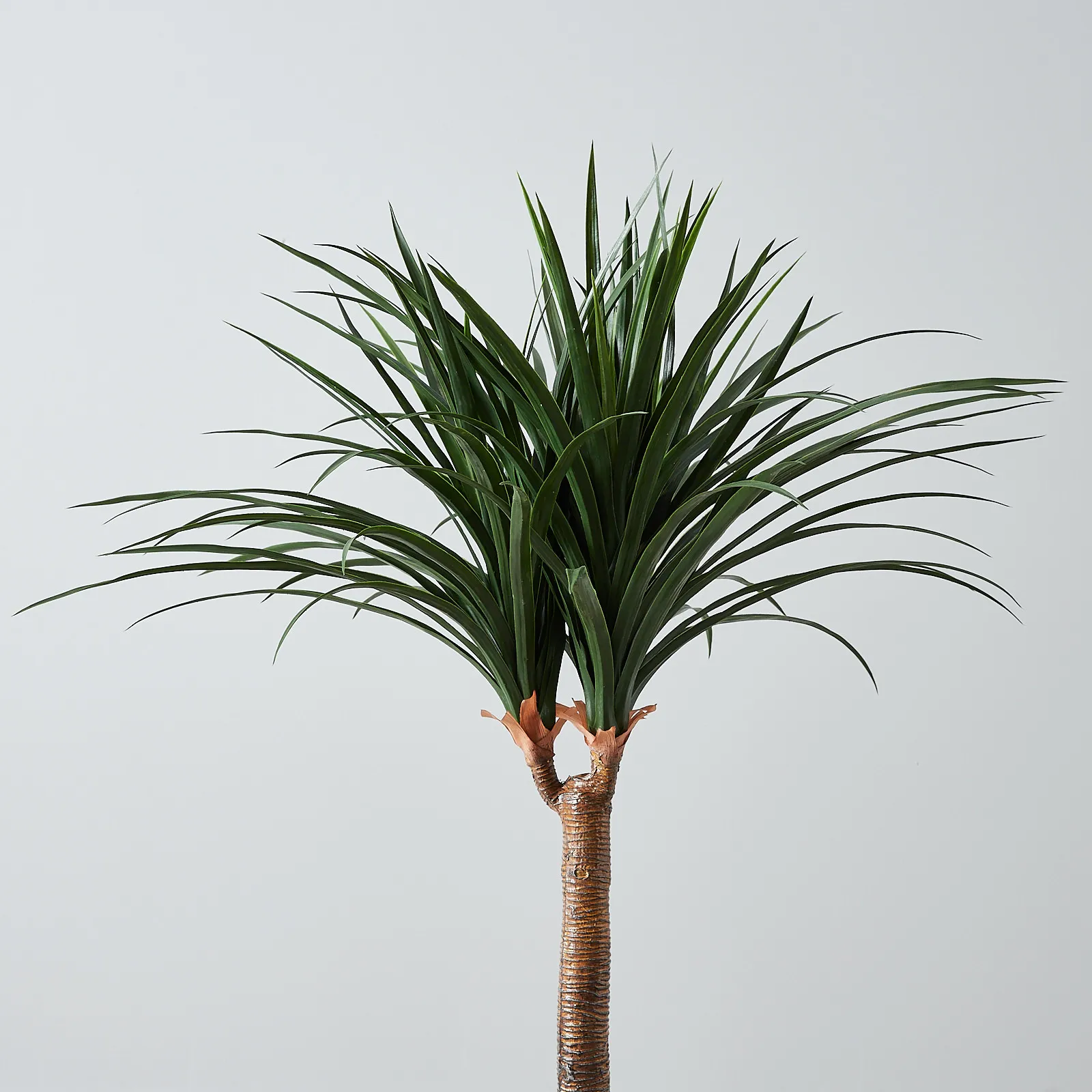 125cm Nolina Recurvata Decorative Plant With Pot