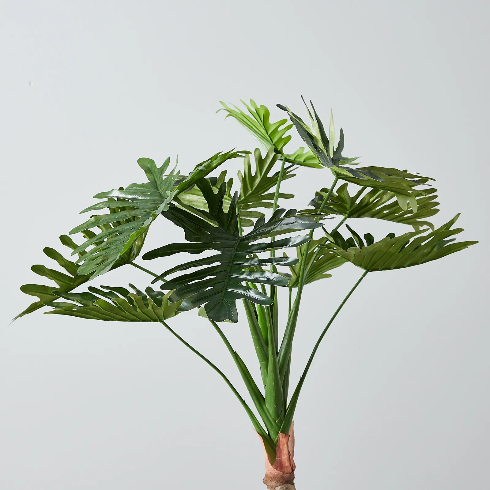 120cm Philodendron Decorative With Plot