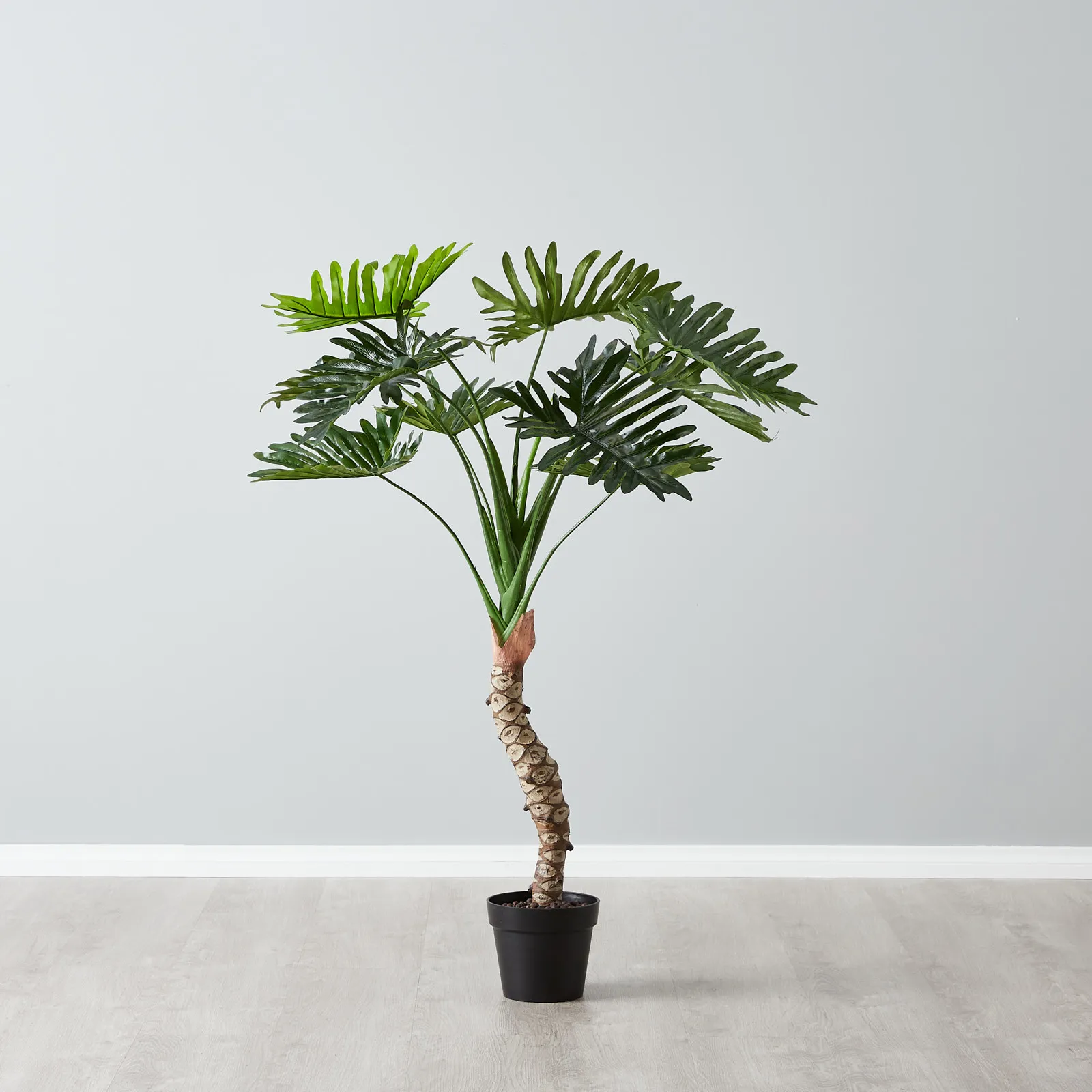 120cm Philodendron Decorative With Plot