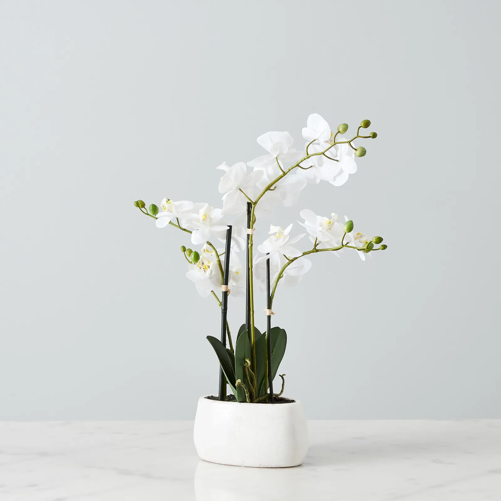 56cm Phalaenopsis Decorative Plant With Pot