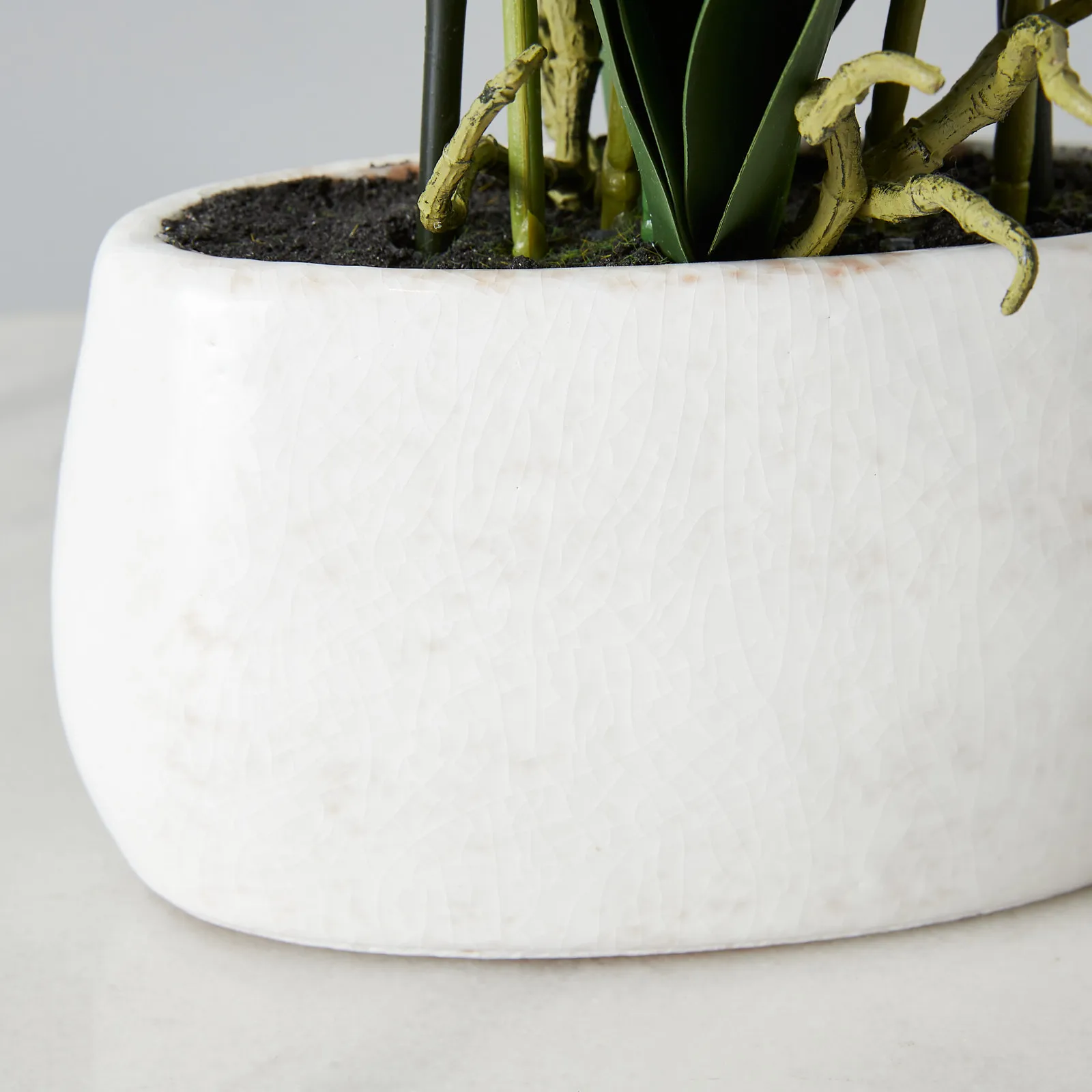56cm Phalaenopsis Decorative Plant With Pot