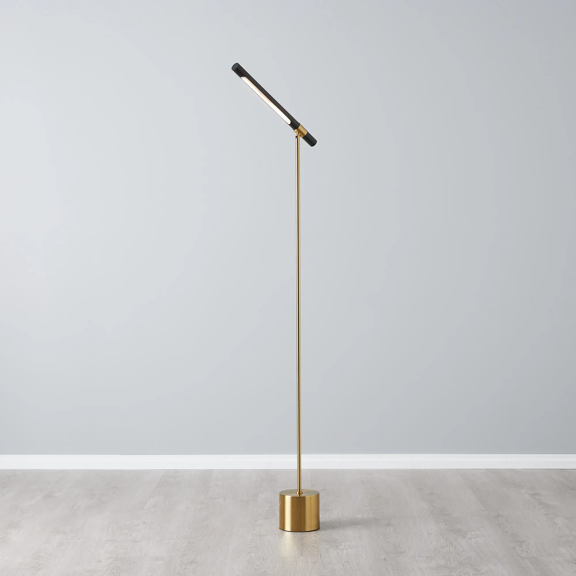 Kaia Brushed Gold Metal Floor Lamp Black Frosted Metal Shade