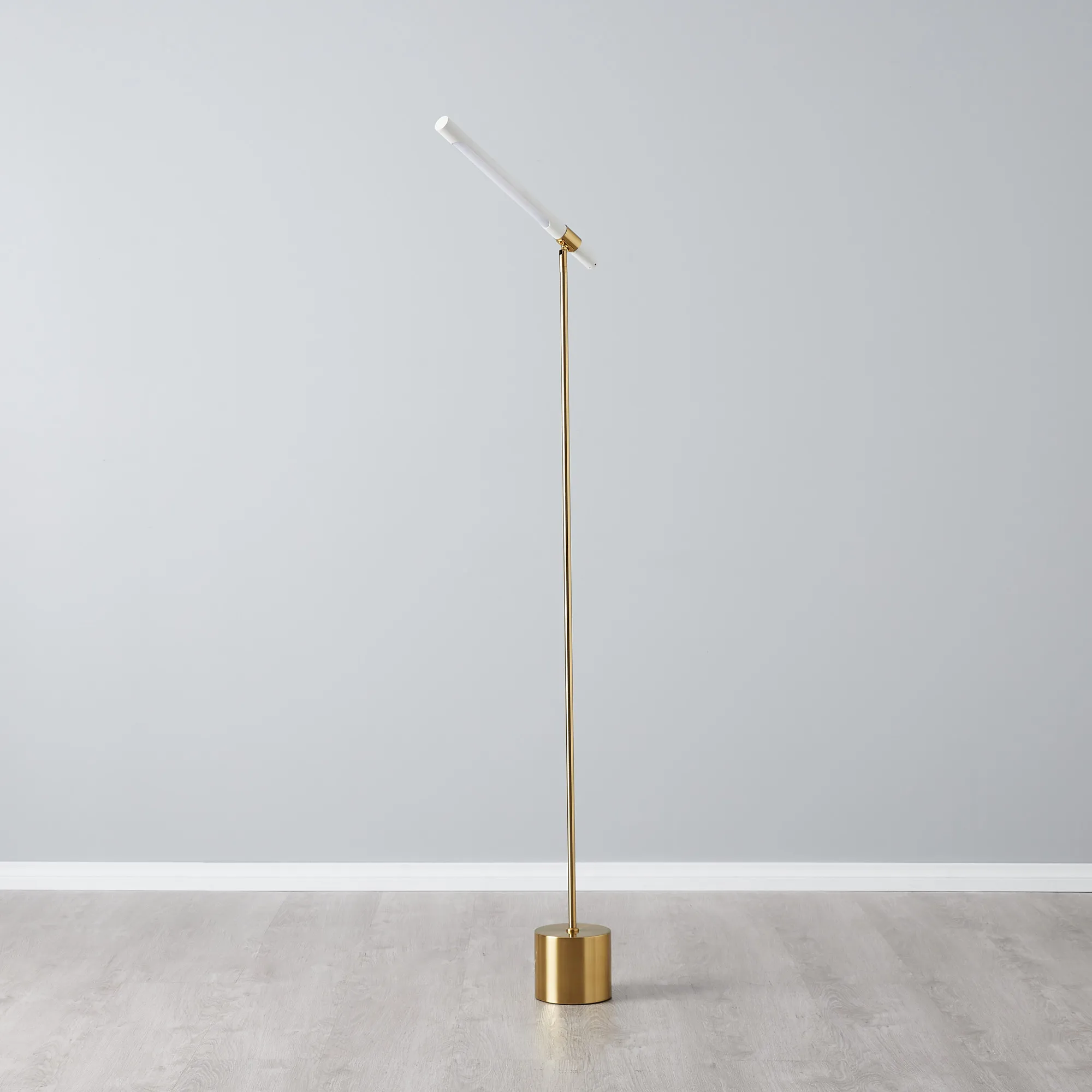 Kaia Brushed Gold Metal Floor Lamp White Frosted Metal Shade