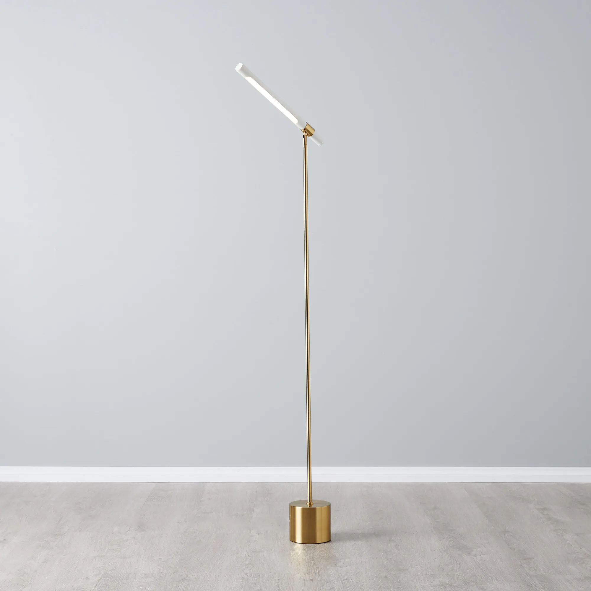Kaia Brushed Gold Metal Floor Lamp White Frosted Metal Shade
