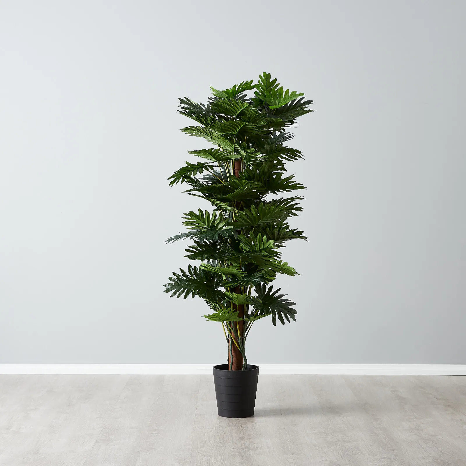 180cm Philodendron II Decorative Plant