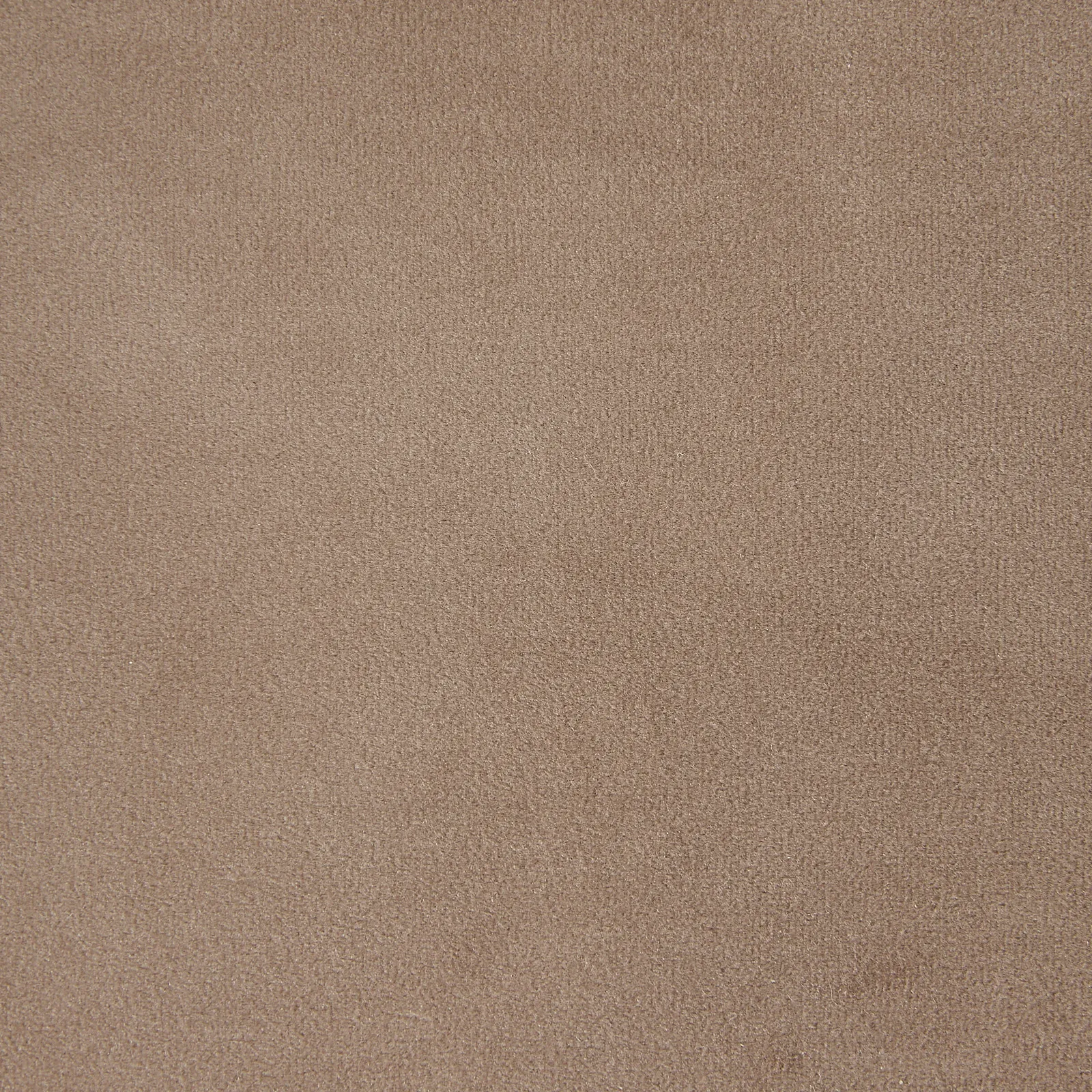 Stellan Beige Velvet  Occasional Chair-Brushed Gold Stainless Steel Legs