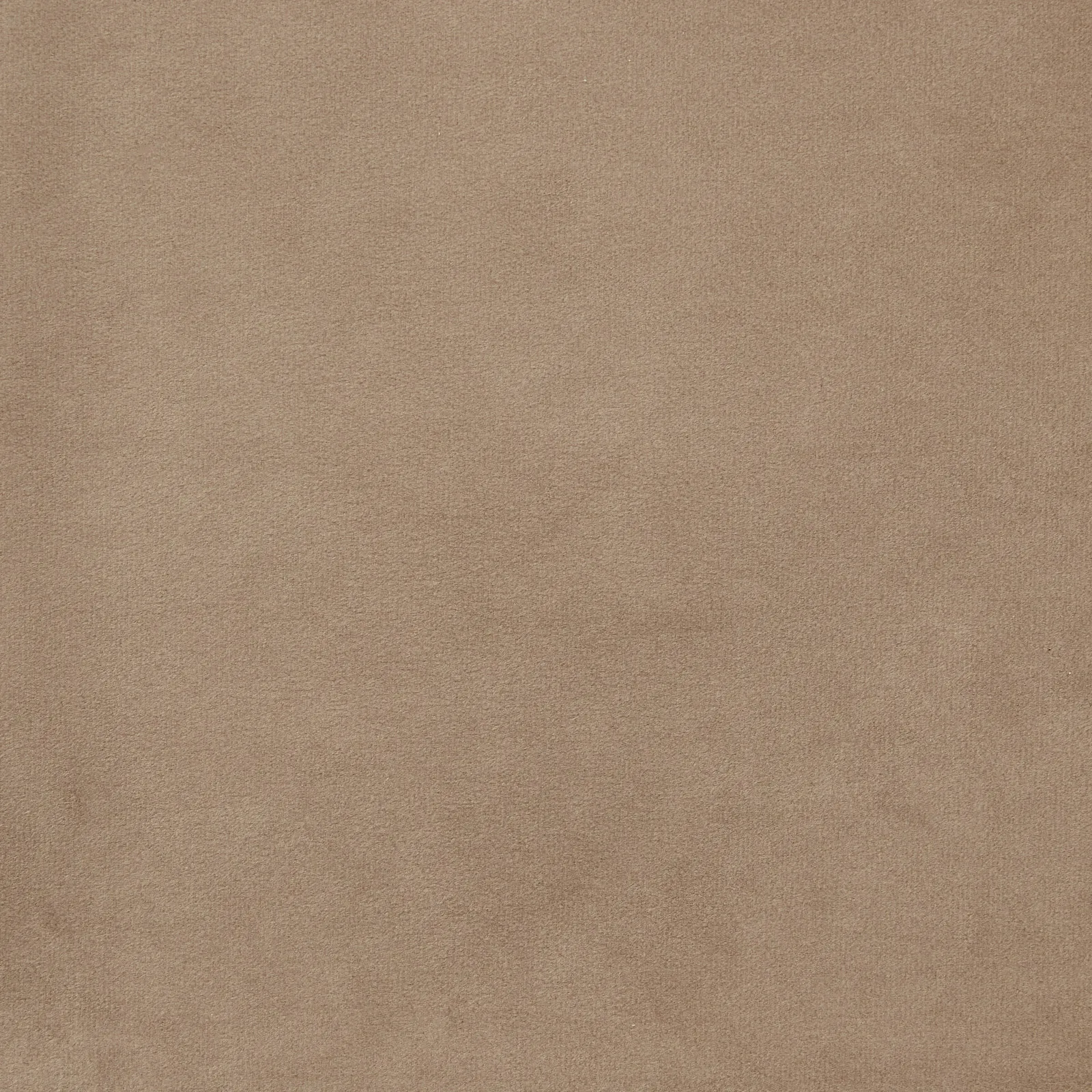 Arya II Beige Velvet Dining Chair - Brushed Gold Metal Legs