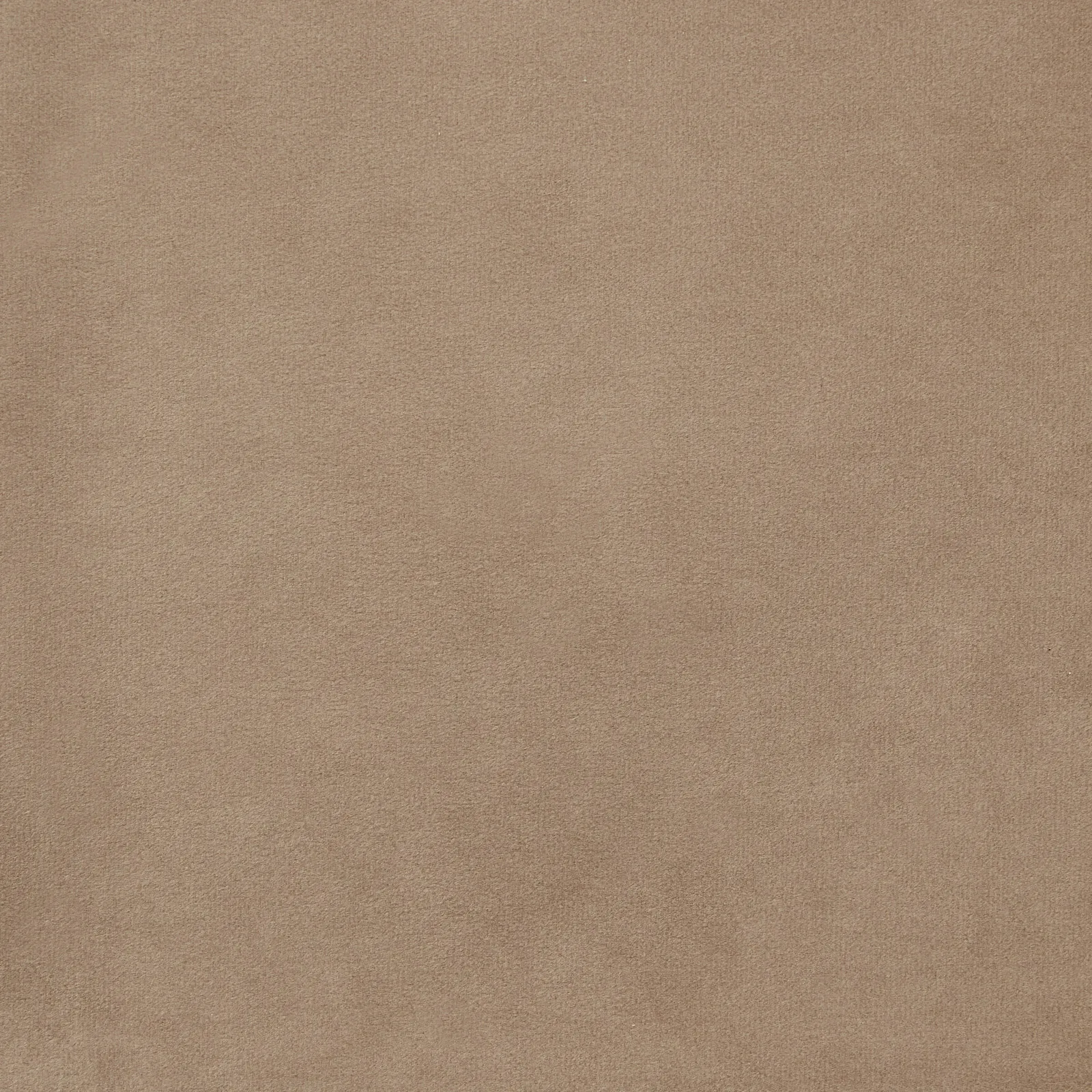 Adrianna Beige Velvet Dining Chair