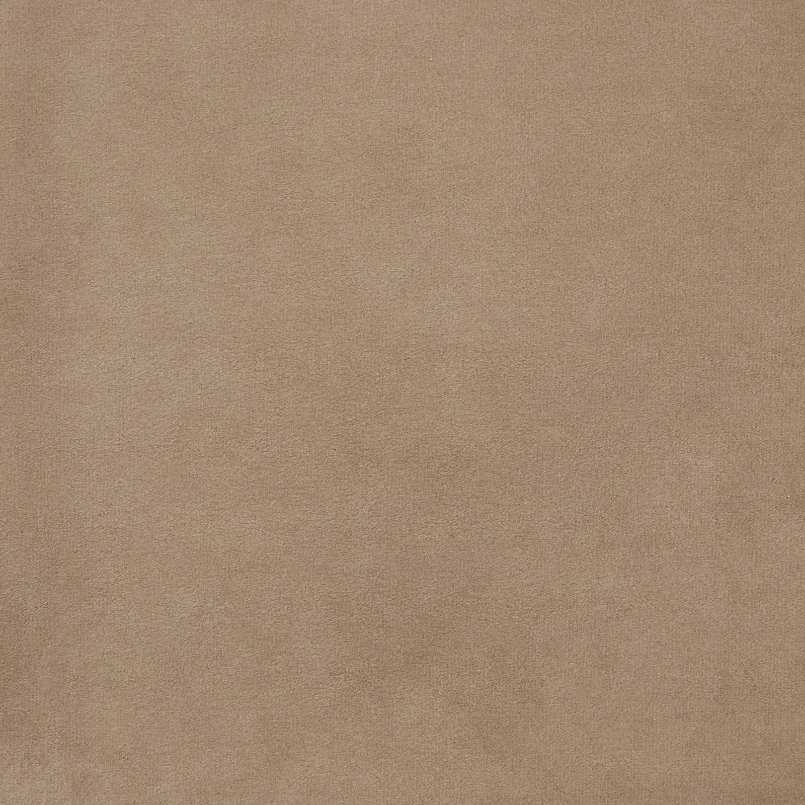 Clementine Beige Velvet Occasional Chair