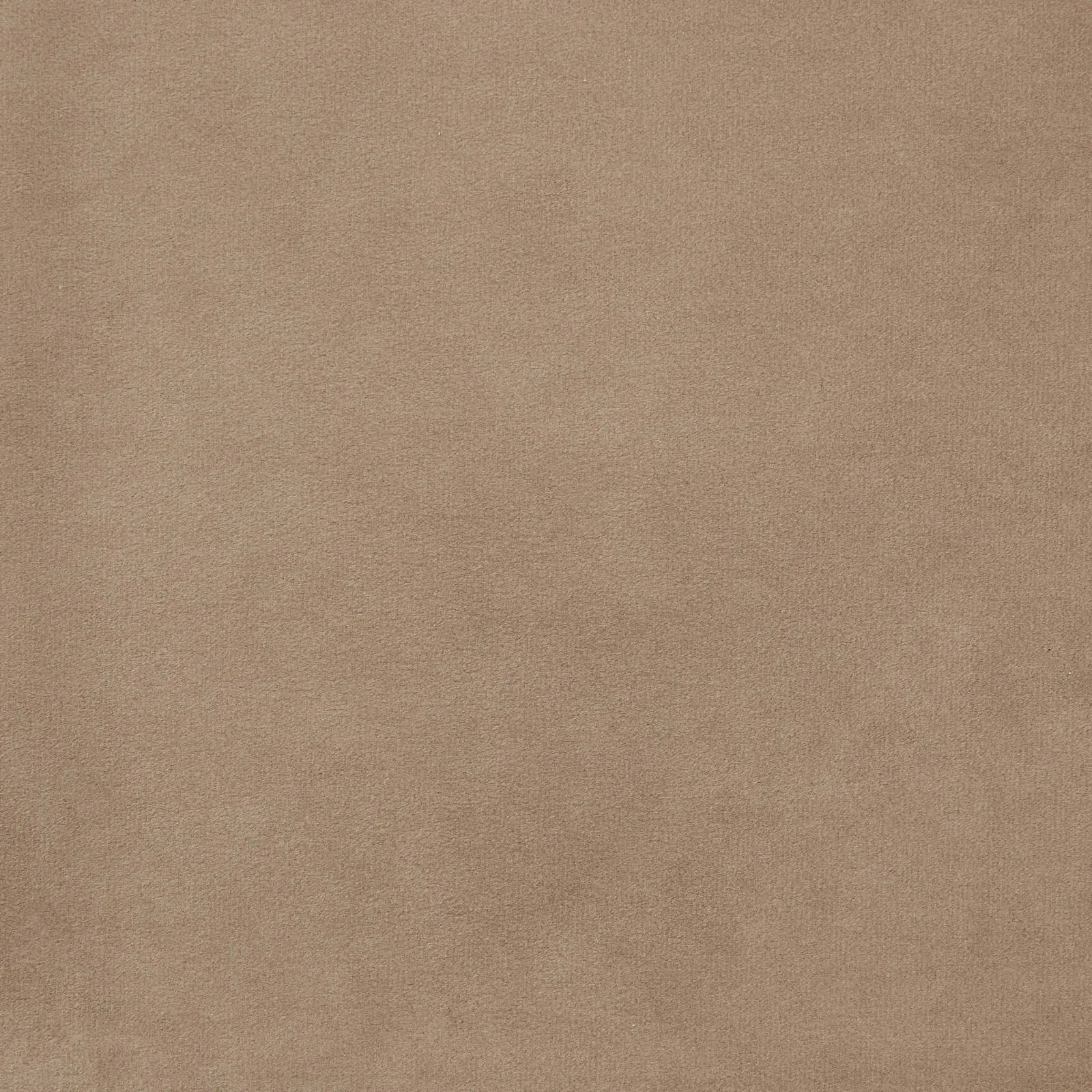 Stellan Beige Velvet Occasional Chair - Beige Velvet Arms